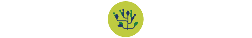 5.webp